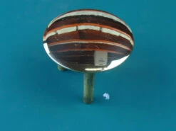 Kohler 29676-Vf Stopper Polished Brass