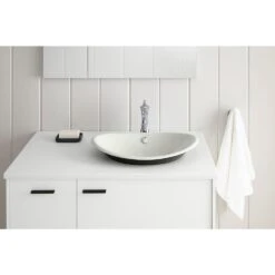 KOHLER Iron Plains Vessel Cast Iron Bathroom Sink In White With Iron Black Painted Underside And Overflow -Kohler Sales Store 0933317c824c5e4717007b66fbec6378 1800x1800