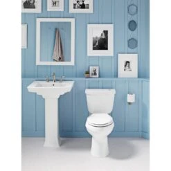 KOHLER Archer Vitreous China Pedestal In White -Kohler Sales Store 095e2efcebc0a2898ad3cb5a5b0b7314 938442c5 0f30 44e5 8555 42b5b040ee62 1800x1800