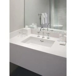 KOHLER Kathryn Vitreous China Undermount Bathroom Sink In White With Overflow Drain -Kohler Sales Store 2c6cdb2e72e237ebe9a01851d59055ab 1800x1800