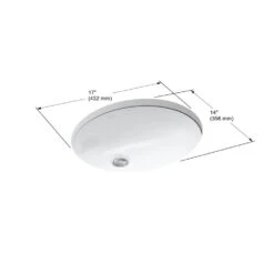 KOHLER Caxton Vitreous China Undermount Bathroom Sink In White With Overflow Drain -Kohler Sales Store 765093845319eab1b7957cc3953de86e 1800x1800