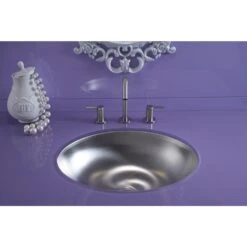 KOHLER Bachata Undermount Stainless Steel Bathroom Sink In Stainless Steel With Luster -Kohler Sales Store 8f5a457b4769d09d7108700c5c5ffc2c 1800x1800