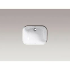 KOHLER Tahoe Undermount Cast Iron Bathroom Sink In White With Overflow Drain -Kohler Sales Store 94a673aa2f991bee6f3727cf28f00b15 1800x1800