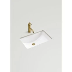 KOHLER Ladena 20-7/8 In. Undermount Bathroom Sink In White With Overflow Drain -Kohler Sales Store abf2e394869c9022a6a849cee7cda59b 1800x1800